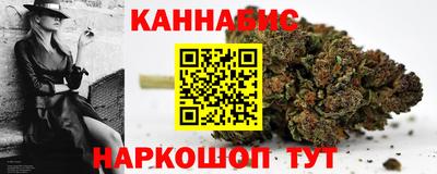 индика Пенза