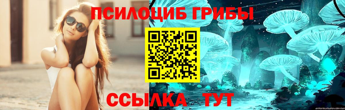 Сатка  Псилоцибиновые грибы мухоморы  как найти наркотики  Вход с VPN 